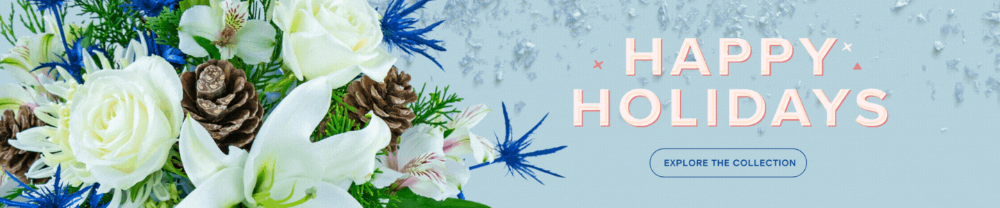 Happy Holidays Explore the Collection